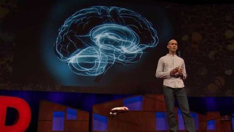 Anil Seth Explains How Your Brain Hallucinates Consciousness