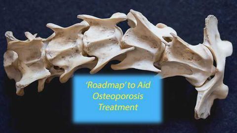 Osteoporosis Treatments Advanced by Mass Spectrometry Techniques