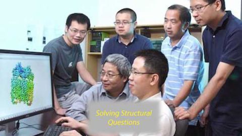 Ion Channel 3-D Atomic Structure Solved