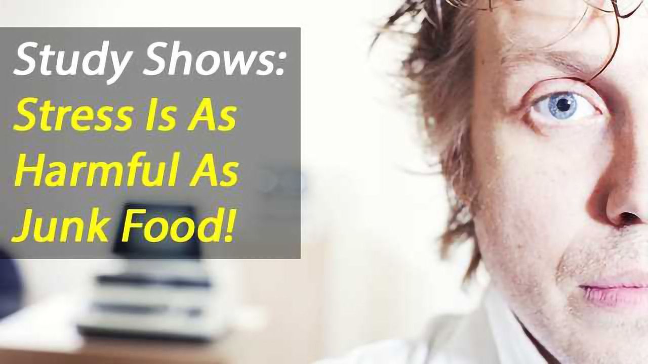 Physical Manifestations of Stress: Changes in your gut flora