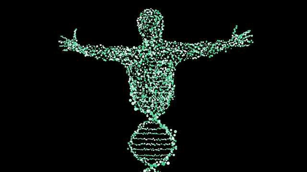 Multi-tissue, Multi-individual Data Used to Identify Mechanisms of Gene Regulation