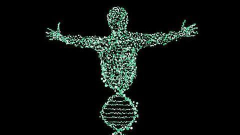 Multi-tissue, Multi-individual Data Used to Identify Mechanisms of Gene Regulation