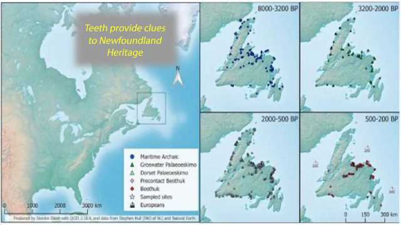 Forensic Evidence Shows Newfoundland was Populated Multiple Times by Distinct Groups