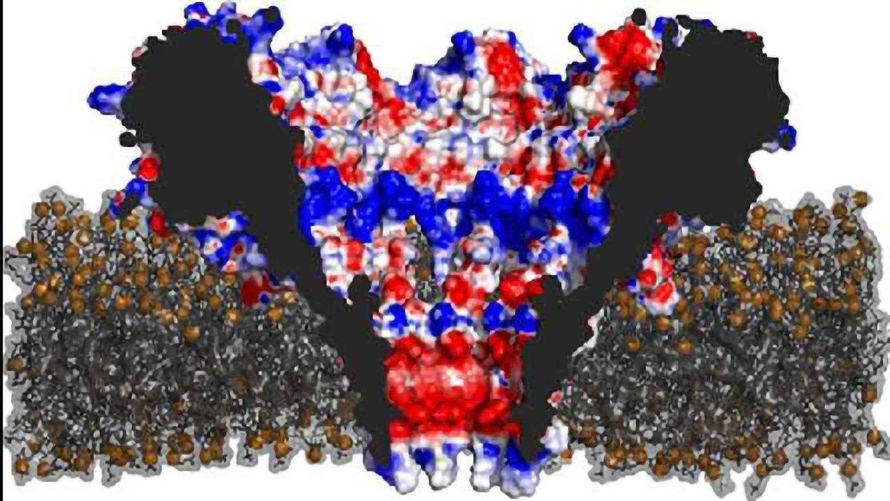 Nanopore Technology Applied to Proteome Sequencing