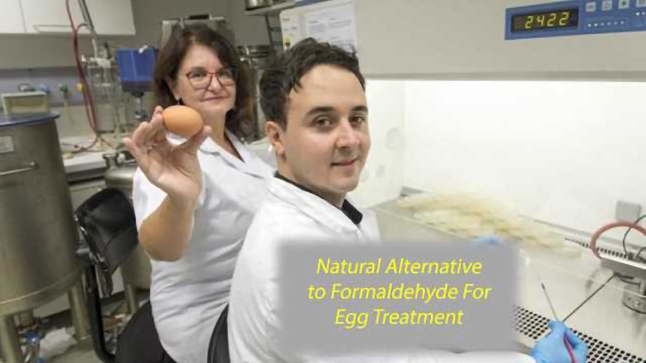 Natural Treatment Alternative to Formaldehyde Eliminates Germs From Hatching Eggs