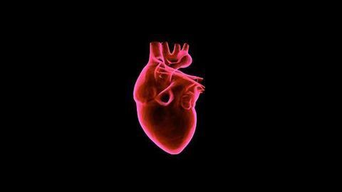 Overexpression of a Cell-cycle Activator Gene Enhances Repair of Dead Heart Muscle