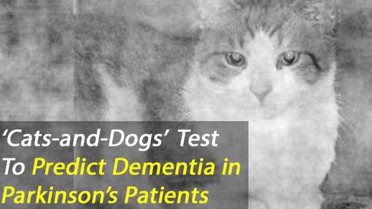 Pictures of Cats and Dogs Used to Predict Outcome of Dementia in Parkinson's Patients