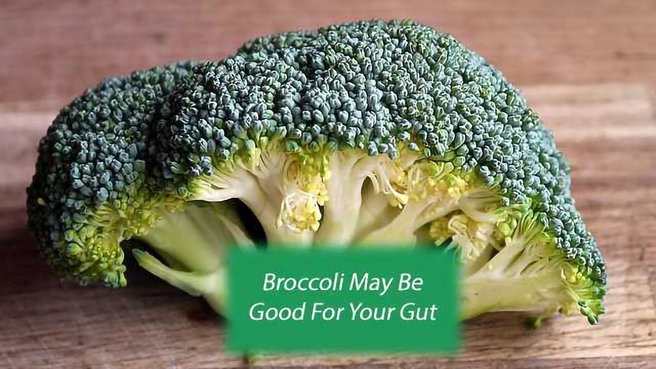 Like It or Not: Broccoli May Be Good for the Gut