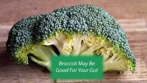 Like It or Not: Broccoli May Be Good for the Gut