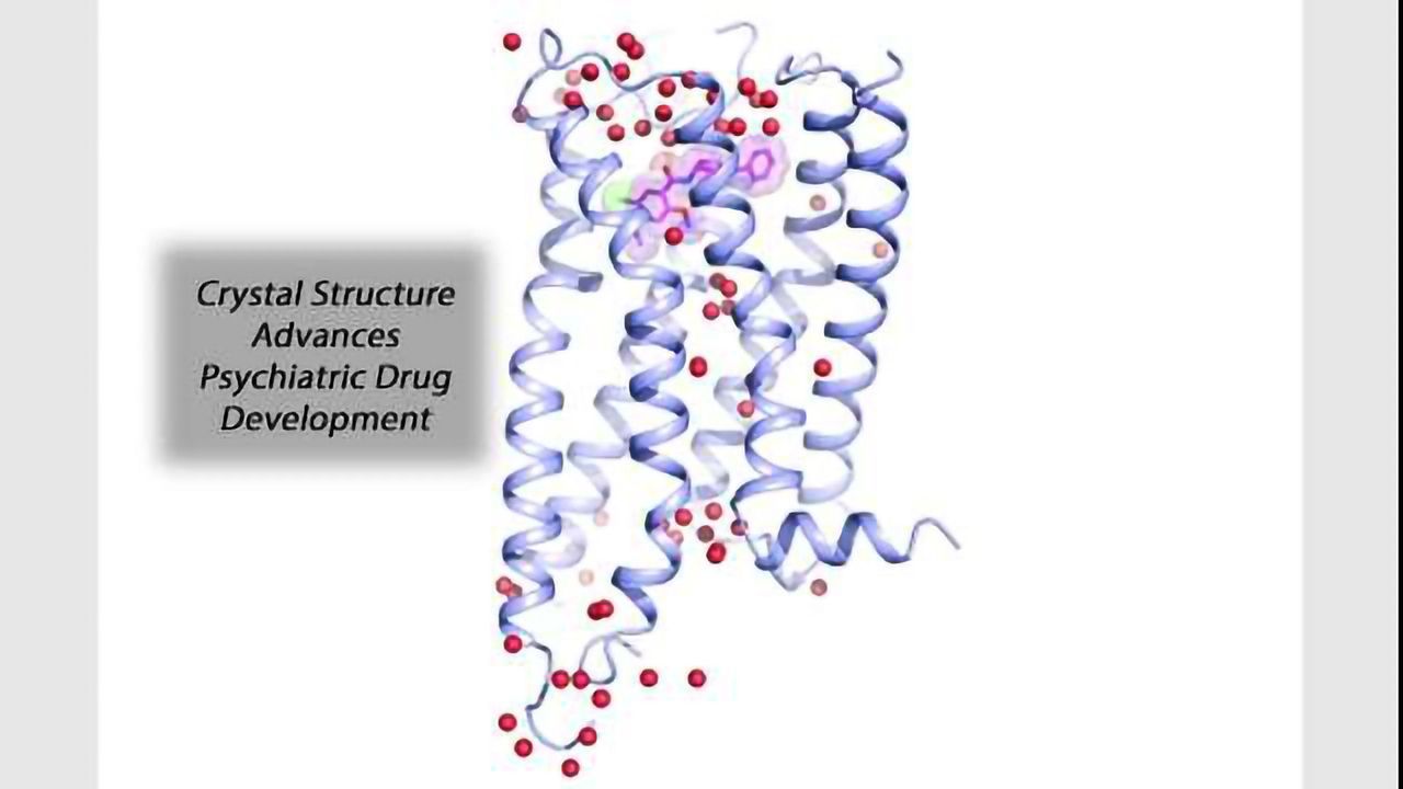Key Psychiatric Drug Target Comes Into Focus