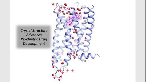 Key Psychiatric Drug Target Comes Into Focus