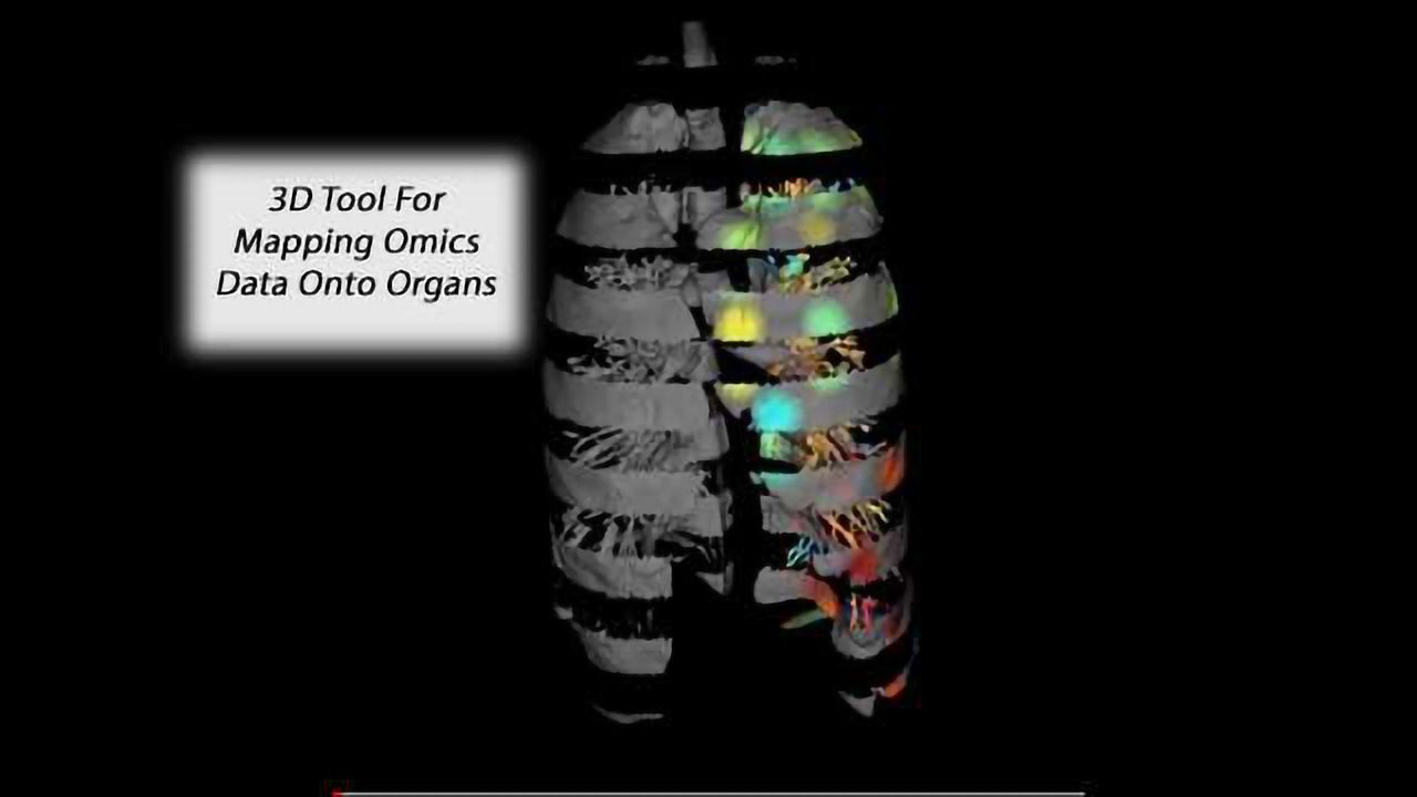 The Microbial Anatomy of an Organ
