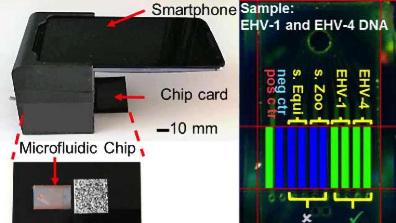 Integrated Lab-on-a-Chip Uses Smartphone to Quickly Detect Multiple Pathogens