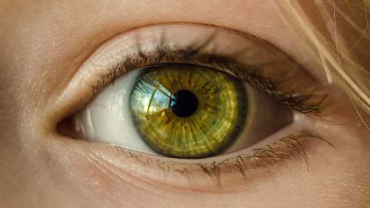 New Method to Grow Curved Corneas Developed