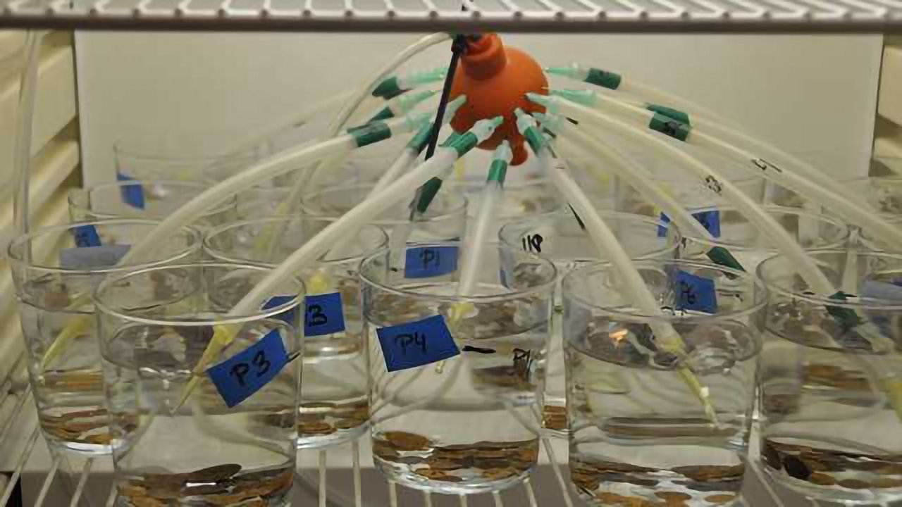 Cocktail Tests on Toxic Waste Called For