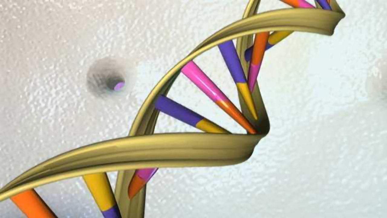 Edico Genome and Fabric Genomics Develop Integrated Solution for Genomics Analysis