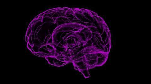 Phenogenetic Map Created For Stem Cell Models Of Neurological Diseases