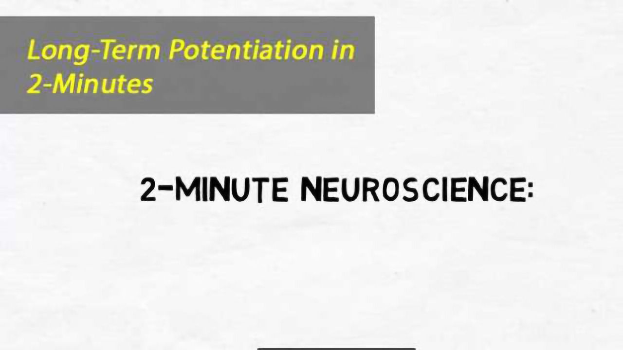 2-Minute Neuroscience: Long-Term Potentiation (LTP)
