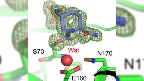Two Studies Provide Significant Hope in the Fight Against Antibiotic Resistance