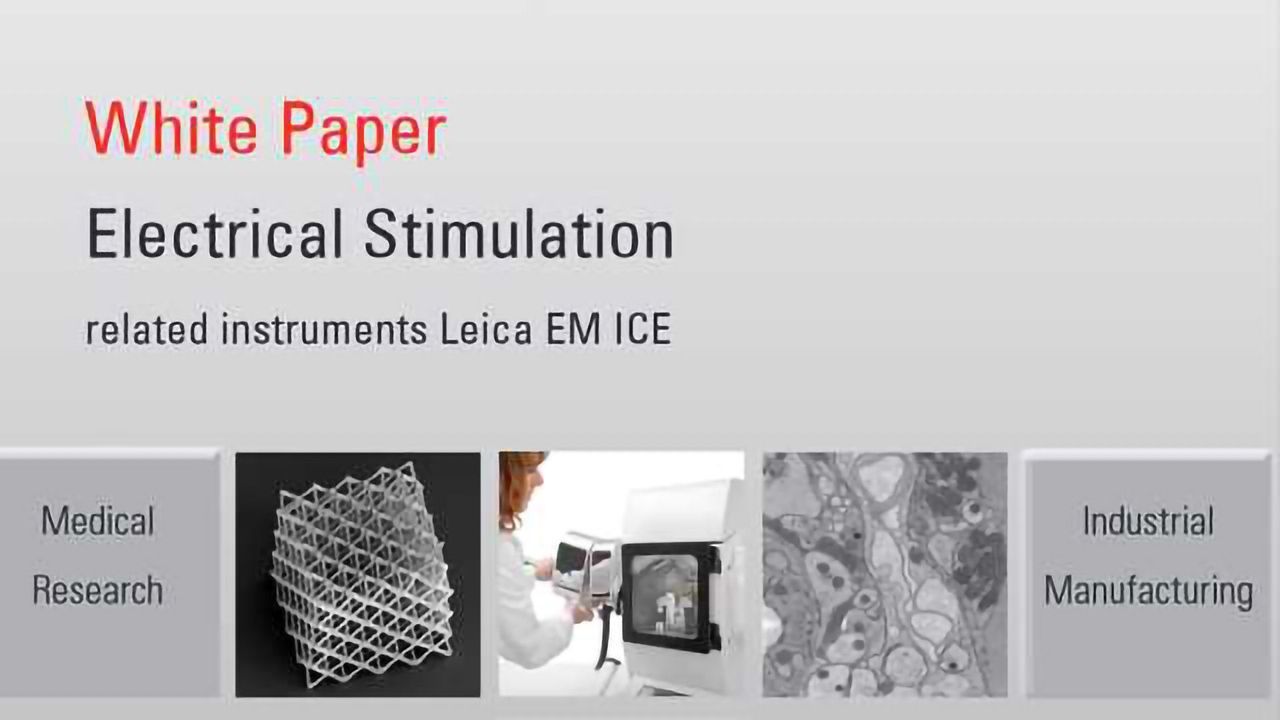 Electrical Stimulation