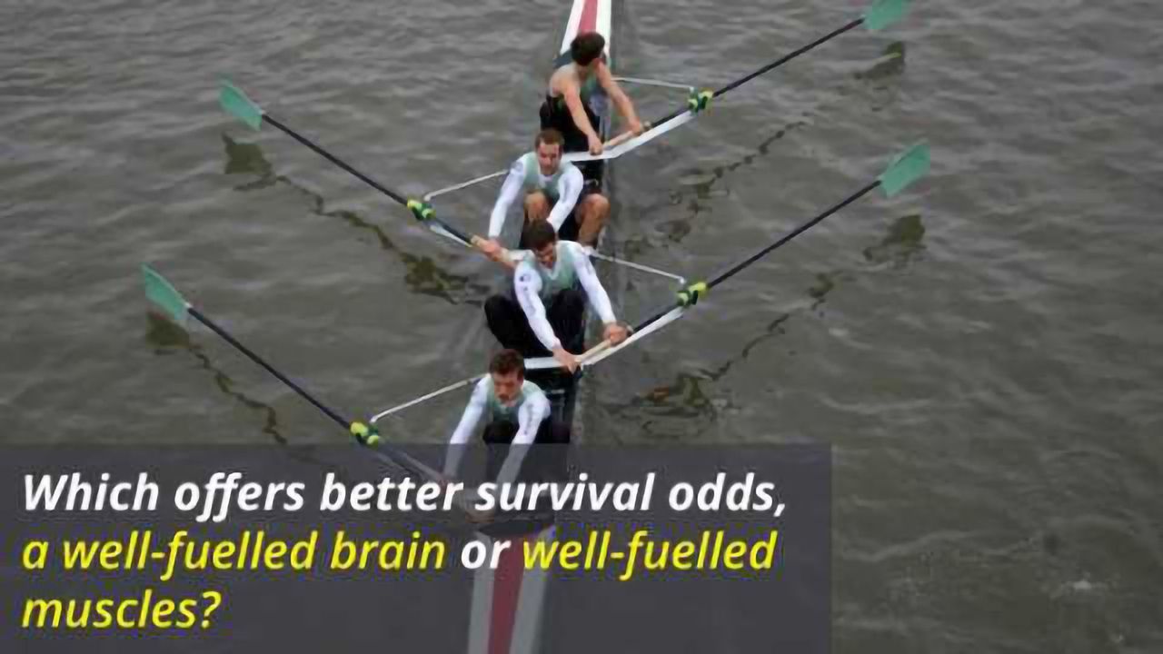 'Selfish Brain' vs Muscle Power - Who Wins Out?