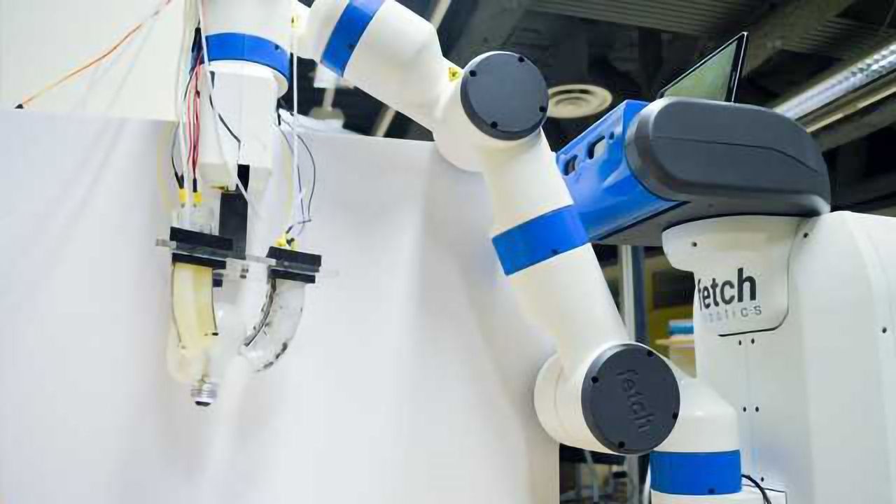 Engineering Team Develop Gripper Robot That Doesn't Need Training