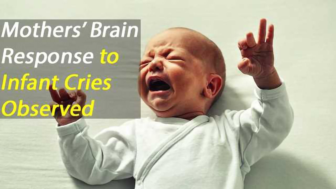 Mothers' Brain Areas Activated by Infant Crying Found