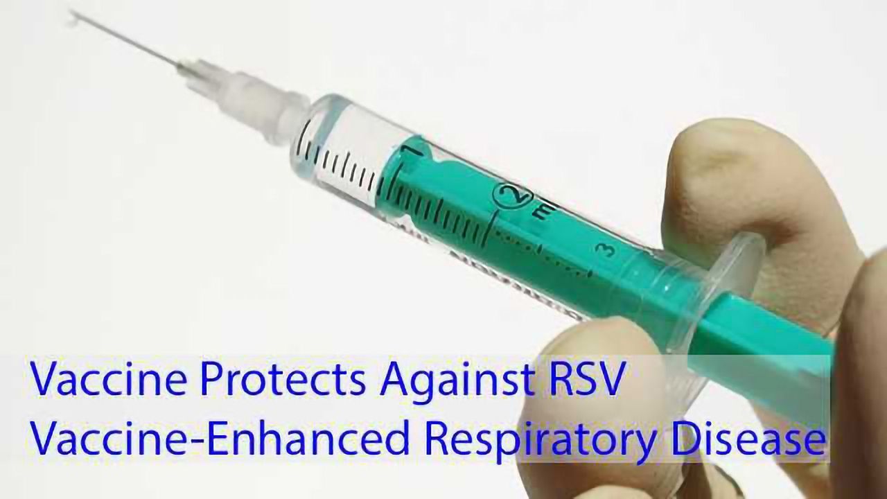 Virus-like Particle Vaccine Protects Against RSV Vaccine-Enhanced Respiratory Disease