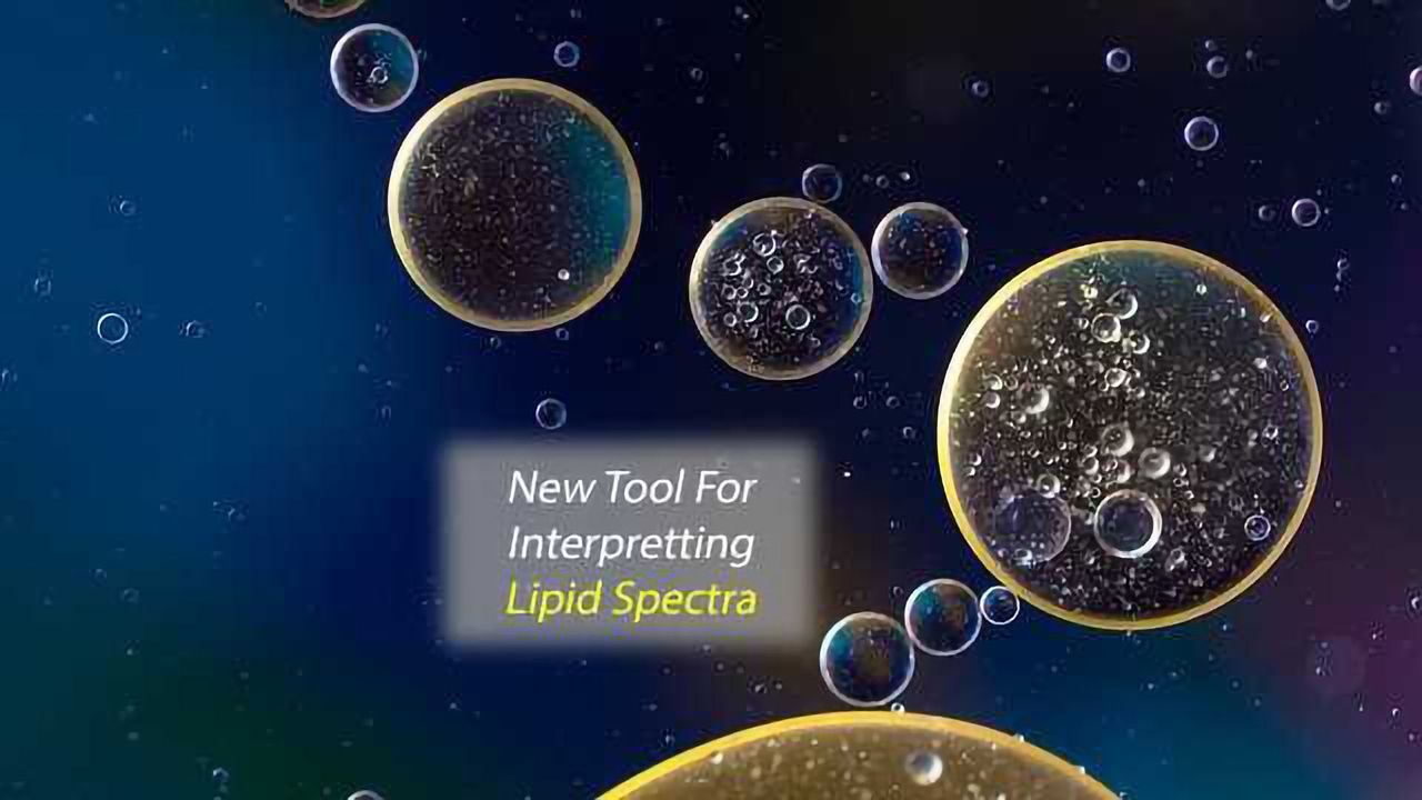 Boost for Lipid Research: Researchers Facilitate Lipid Data Analysis