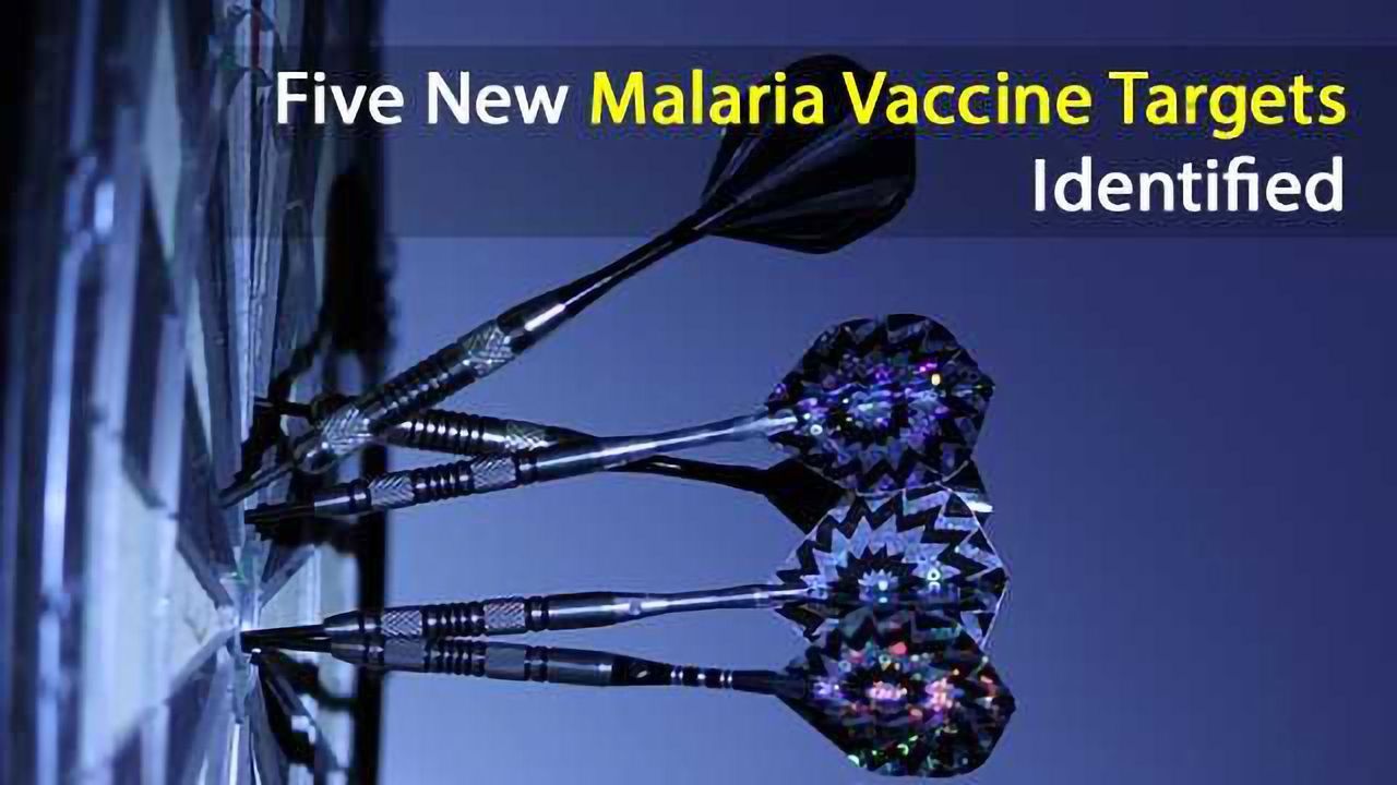 Five New Malaria Vaccine Targets Identified