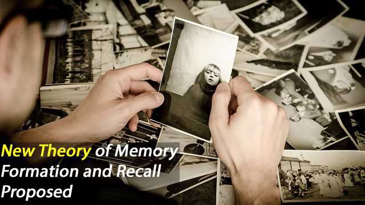 New Theory of Memory Formation Discovered