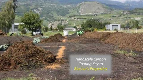 Carbon Coating Gives Biochar its Garden-Greening Power