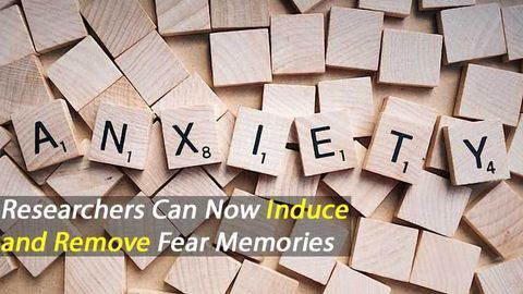 New Insight Challenges Dogma of Fear Learning