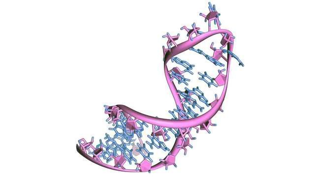 Highly Efficient Synthetic mRNAs content piece image 