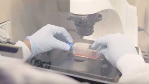 Precision Medicine and Liquid Biopsy: The Future of Diagnosing and Managing Disease