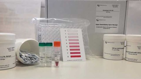 SYGNIS AG Announces the launch of the Universal Lateral Flow Assay kit