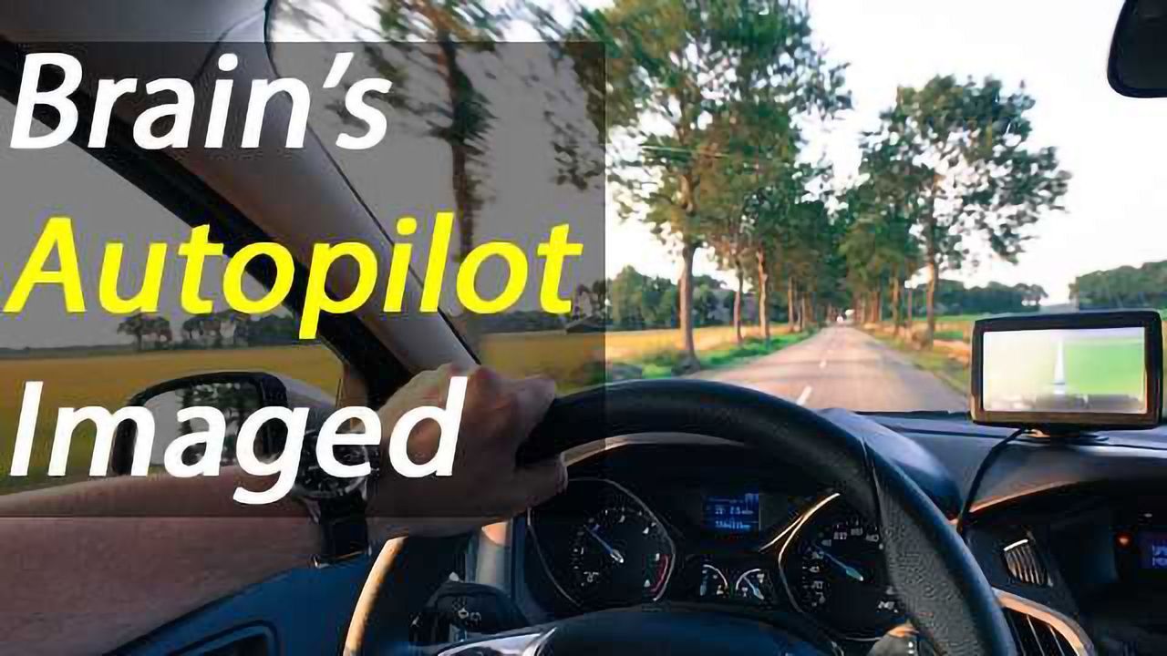 Brain’s Autopilot Mapped