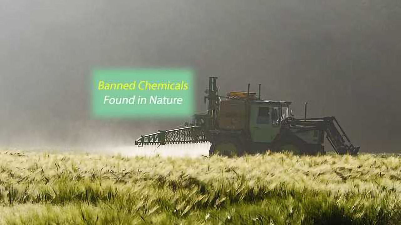 Pesky Pollutants that Persist, Courtesy of Nature