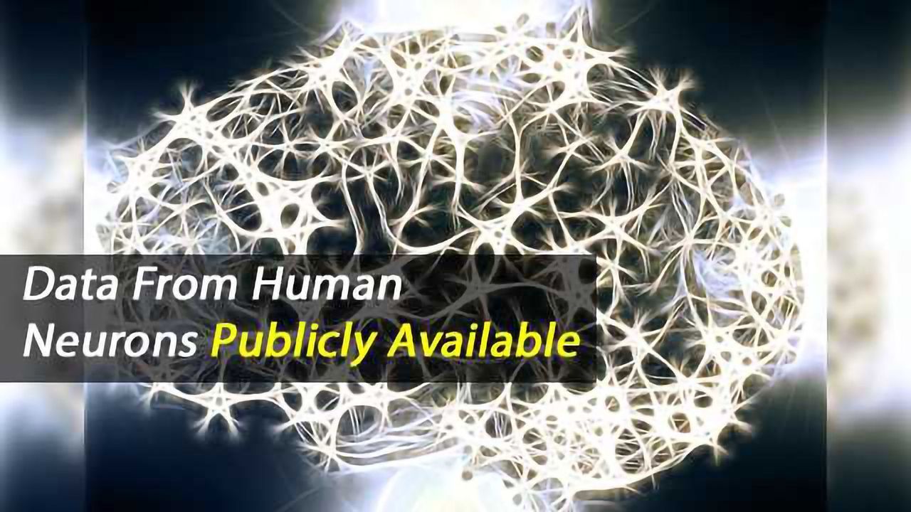 The Allen Institute Shares First Data from Live Human Brain Cells