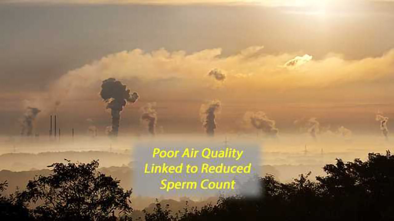 Sulfur Dioxide Pollution Tied to Degraded Sperm Quality