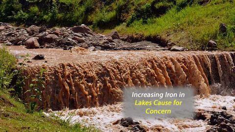 More Iron in Lakes is Making them Brown