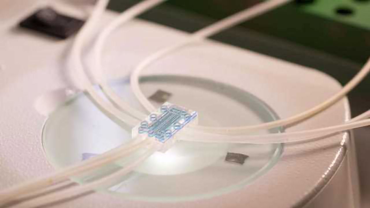 Microfluidics for Cell Culture and Analysis