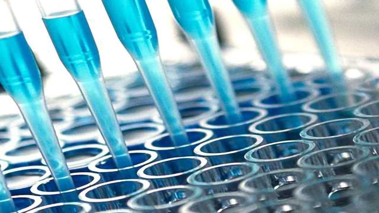 UK Company Develops Worlds First Fipronil Screening Test for Liquid Egg