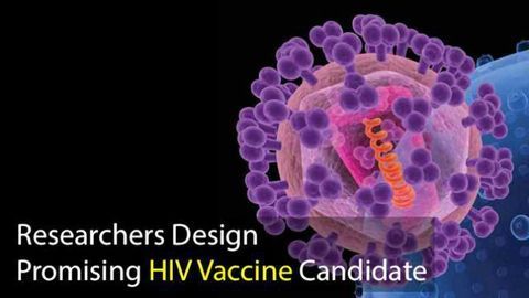 Researchers Design Promising HIV Vaccine Candidate