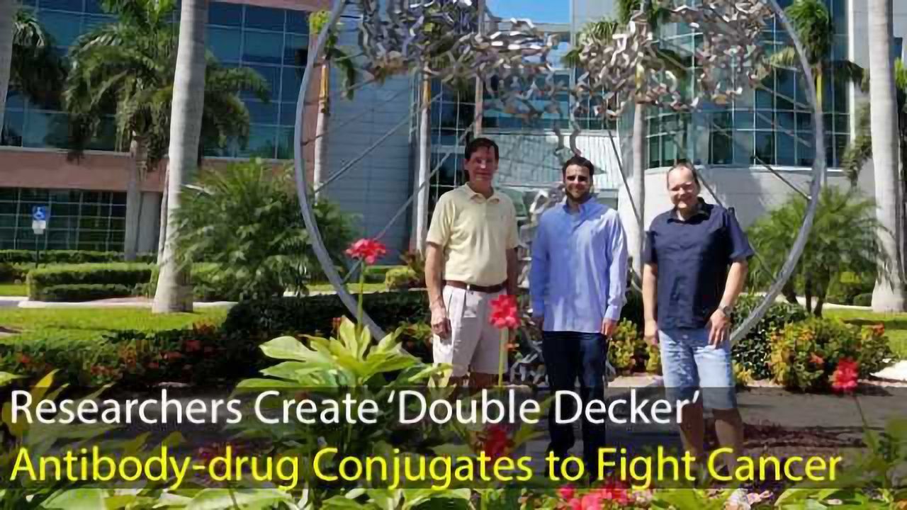 New ‘Double Decker’ Antibody-drug Conjugates Fight Cancer