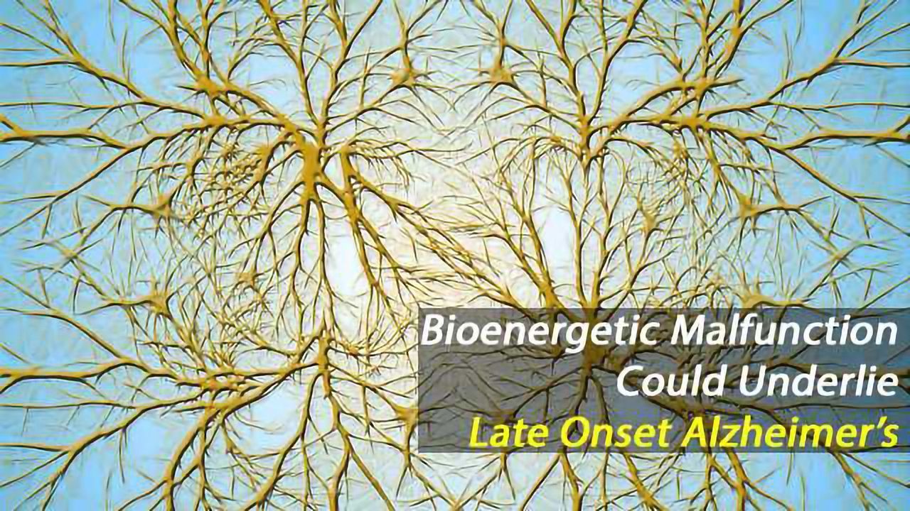 Bioenergetic Changes Seen in Stem Cells from Late Onset Alzheimer's Disease Patients