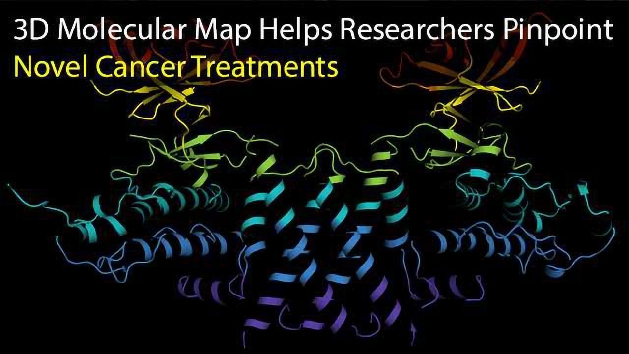 3D Molecular Map Helps Researchers Pinpoint Novel Cancer Treatments