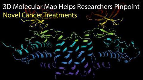 3D Molecular Map Helps Researchers Pinpoint Novel Cancer Treatments