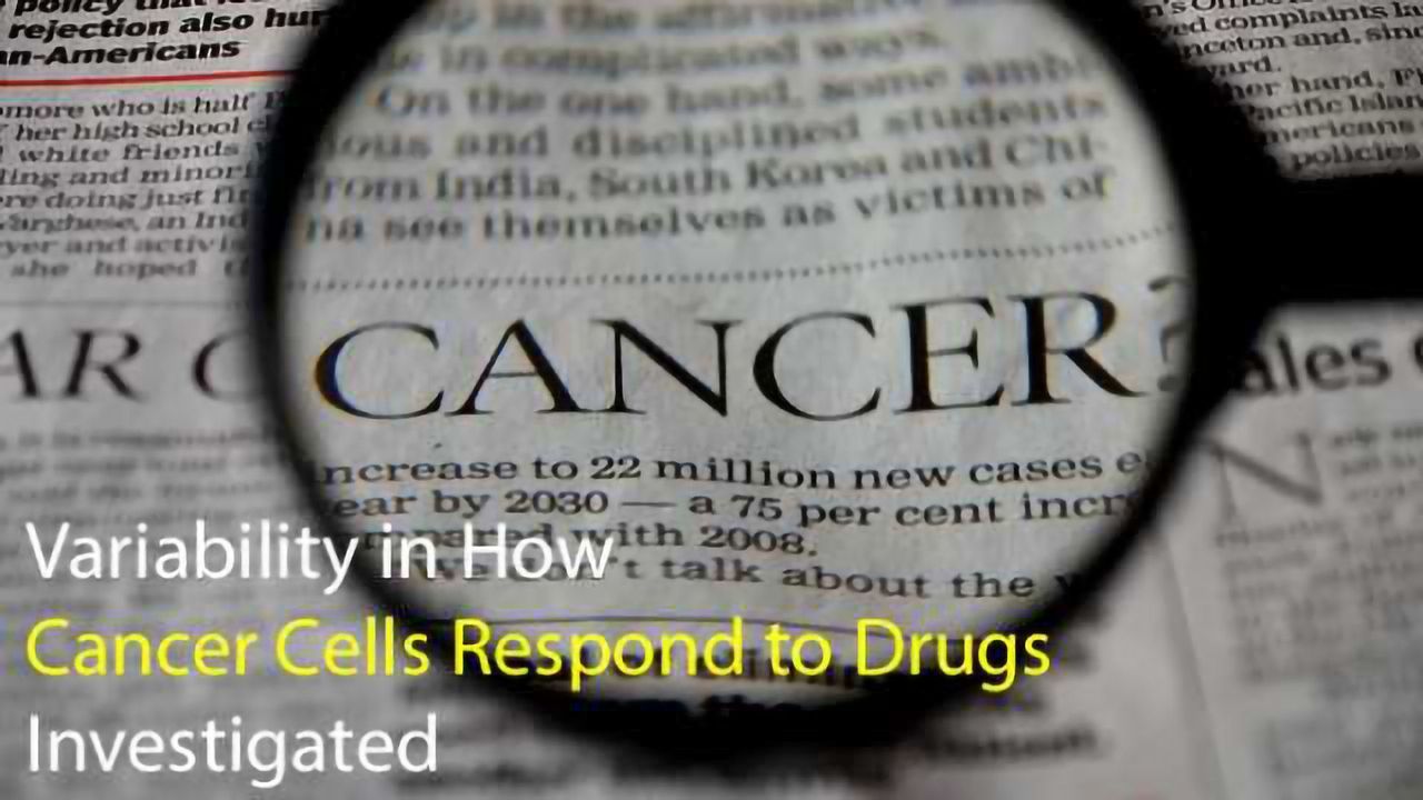 Variability in How Cancer Cells Respond to Drugs Investigated