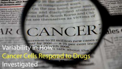 Variability in How Cancer Cells Respond to Drugs Investigated